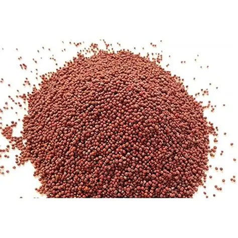 Rai Dana (Mustard Seeds)